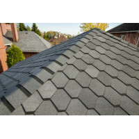 Бітумна черепиця Техноніколь Shinglas Вестерн Ніагара