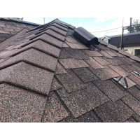 Битумная черепица KATEPAL Ambient Аравийское дерево